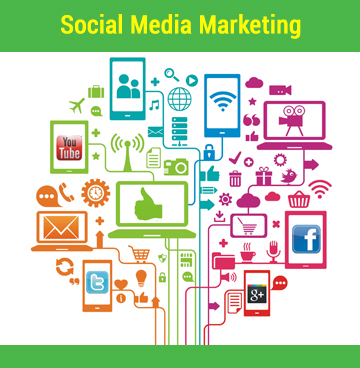 Socail Media Optimization companies in chennai | best social media optimization company in chennai